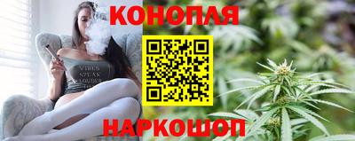 сатива Лесосибирск