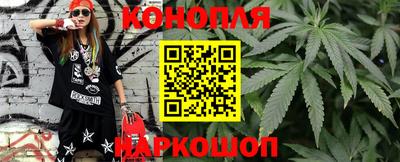 сатива Лесосибирск