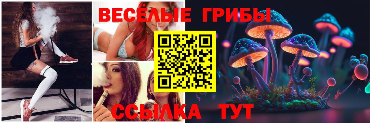 Галлюциногенные грибы MAGIC MUSHROOMS  Псилоцибиновые грибы прущие грибы  Вход с VPN  Санкт-Петербург 